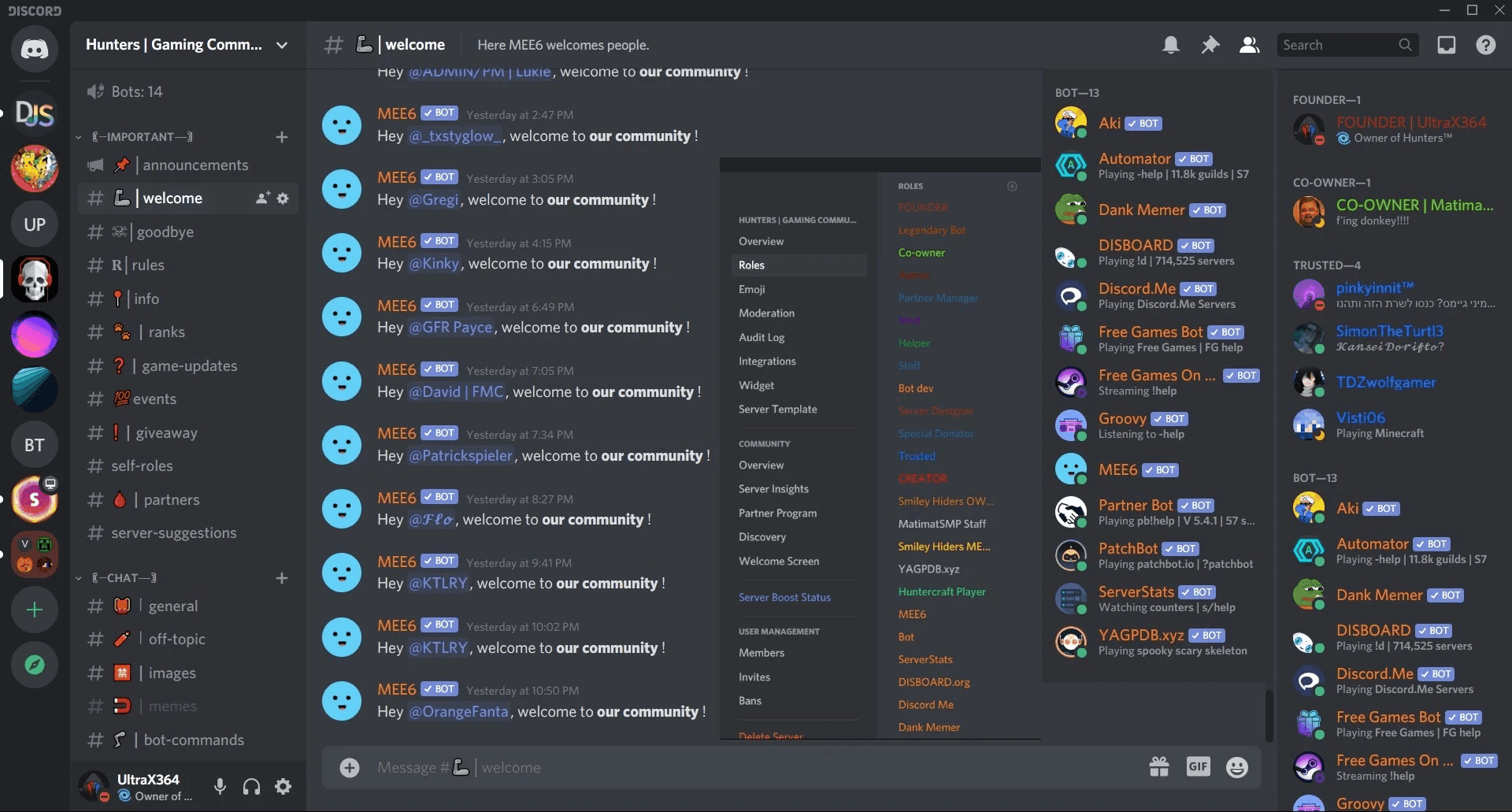 Custom Discord Server Design